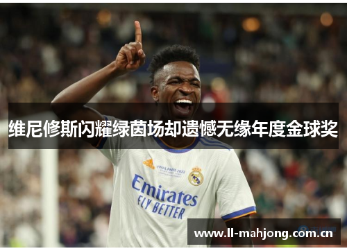 维尼修斯闪耀绿茵场却遗憾无缘年度金球奖 维尼修斯闪耀绿茵场却遗憾无缘年度金球奖